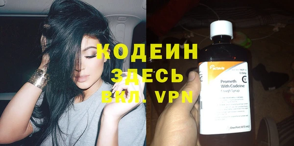 дурь Бородино