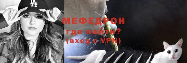 сатива Беломорск