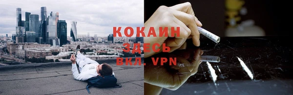 дурь Бородино