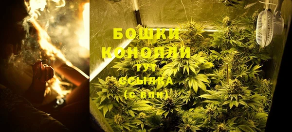 дурь Бородино
