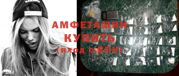 дурь Бородино