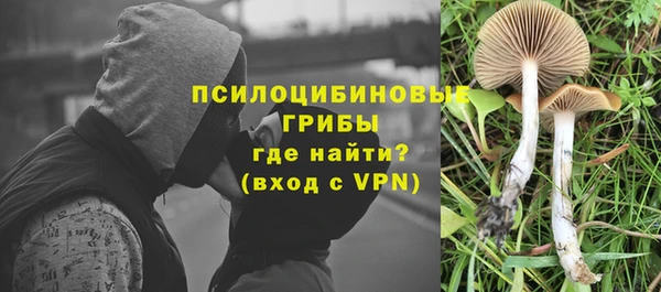 PSILOCYBIN Верхнеуральск