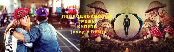 дурь Бородино