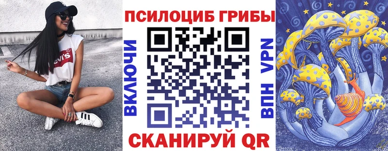 Галлюциногенные грибы MAGIC MUSHROOMS  площадка какой сайт  Вяземский 